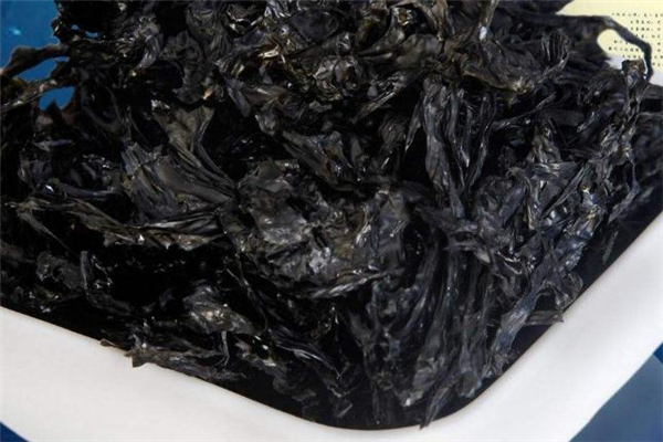 紫菜可以和牛肉一起吃吗?,牛肉和紫菜汤可以一起吃吗