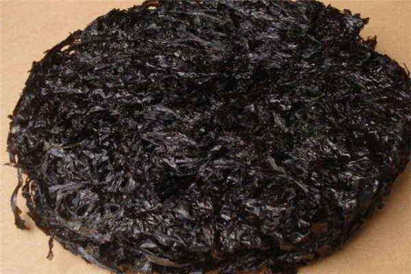 癌症病人可以吃紫菜吗,癌症病千万不能吃紫菜