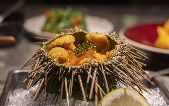 海胆蒸蛋海胆肉去哪了(海胆蒸蛋海胆肉去哪了)