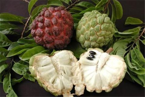 释迦果什么时候吃最好吃,释迦果什么时间吃最好