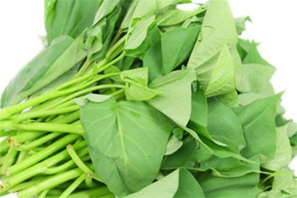 红薯叶可以泡茶喝吗,吃红薯可以喝茶叶吗