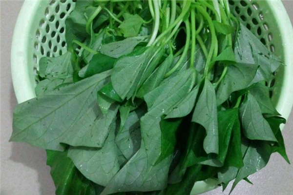 吃红薯叶有什么好处,红薯是不是寒性的