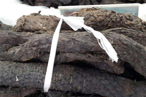 肉苁蓉怎样保存,肉苁蓉怎么分真假