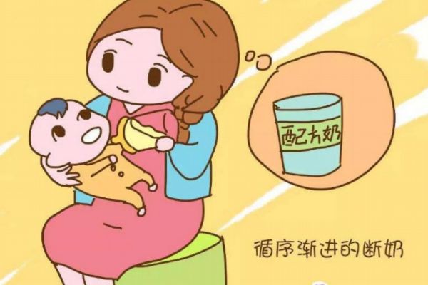 宝宝断奶也不建议在夏天(宝宝为什么夏天不能断奶) 宝宝断奶也不建议在夏天(宝宝为什么夏天不能断奶)