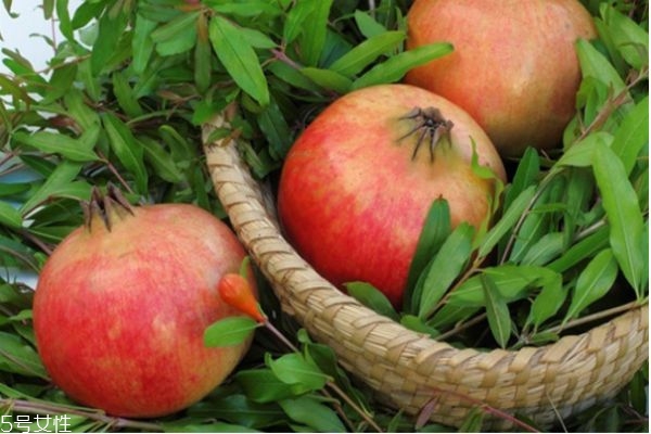 怀孕了可以吃榴莲吗,怀孕后可不可以吃石榴 怀孕了可以吃榴莲吗,怀孕后可不可以吃石榴