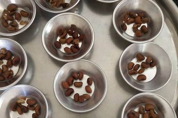 做好的钵仔糕可以放多久,钵仔糕可以放多久