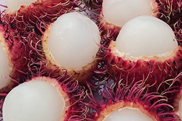 什么是红毛丹,红毛丹坏了是什么样子