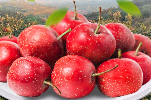 山楂为什么开胃,山楂为什么开胃消食