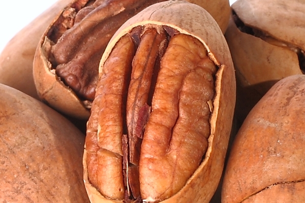 碧根果好还是核桃好,怀孕吃碧根果好还是核桃好 碧根果好还是核桃好,怀孕吃碧根果好还是核桃好