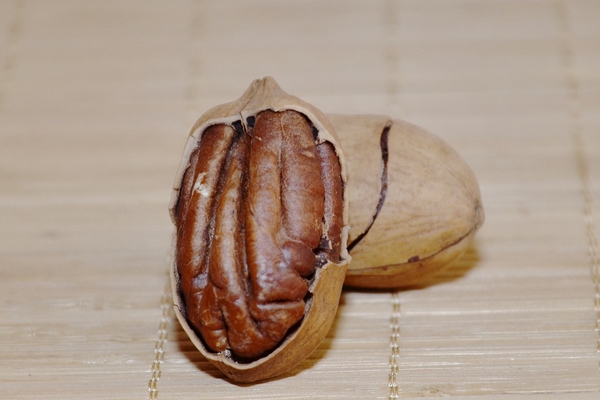 碧根果吃法妙招,碧根果有什么好处 碧根果吃法妙招,碧根果有什么好处