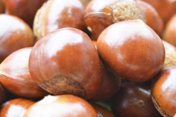 糖炒板栗凉了还能吃吗?,糖炒板栗凉了