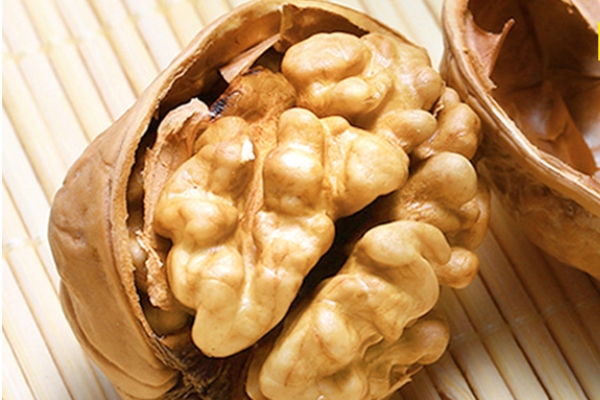 核桃怎么种植才发芽,怎么用核桃种植核桃苗