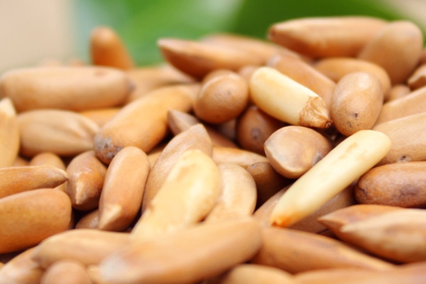 松子为啥有两种颜色的,松子是什么颜色