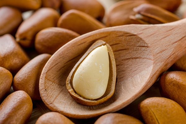 松子是不是不能多吃,松子不能吃太多