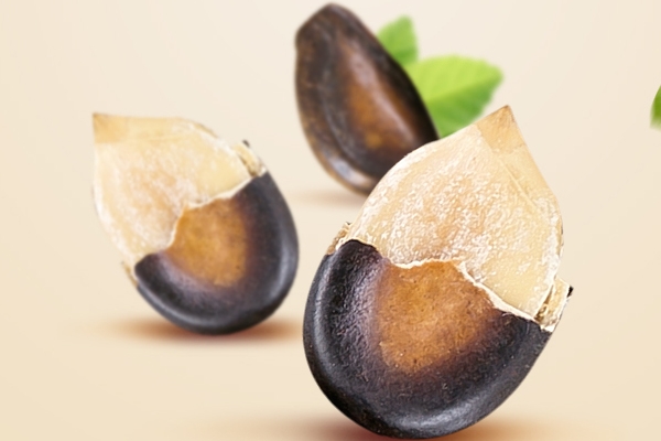 西瓜子为啥那么大,西瓜子瓜子为什么比西瓜里的子大