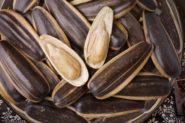 葵花籽为什么伤肝,葵花籽对肝脏的影响