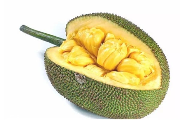 怎么判断菠萝蜜是否成熟了,怎样判断菠萝蜜是否成熟