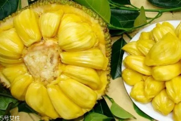 菠萝蜜不能和什么同吃 菠萝蜜的食用禁忌,菠萝蜜不能和什么同吃?