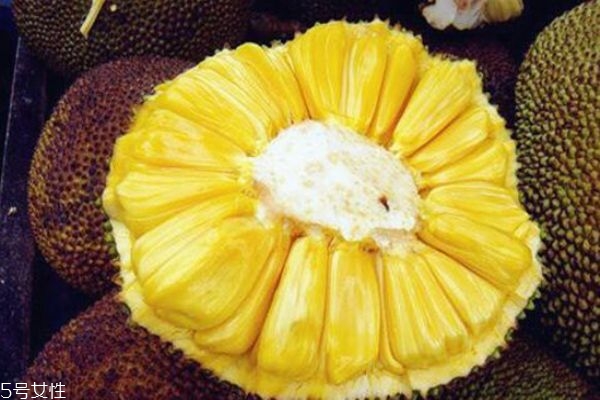 菠萝蜜剥开没熟怎么办,视频说,菠萝蜜剥开没熟怎么办 菠萝蜜怎么催熟