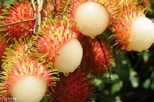 红毛丹怎么保存不变黑,红毛丹变黑了还能吃吗