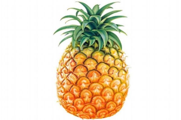 菠萝正确的吃法应该怎么吃?,菠萝怎么吃最好吃最甜