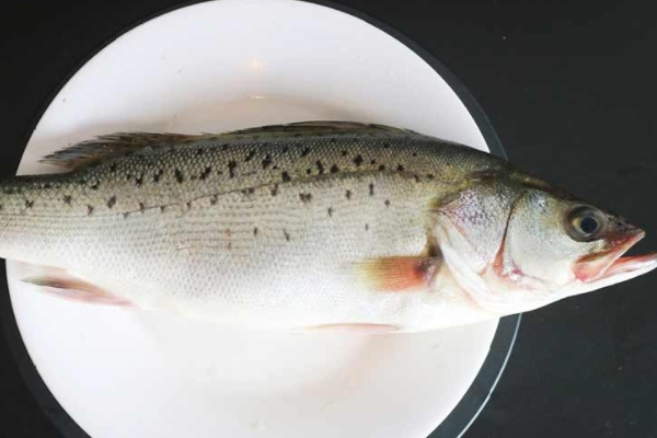 海鲈鱼怎么去内脏,海鲈鱼内脏清理方法