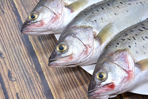 深海鲈鱼的做法,活鲈鱼怎么做好吃 深海鲈鱼的做法,活鲈鱼怎么做好吃