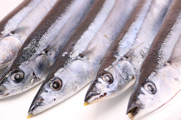 秋刀鱼为什么苦,秋刀鱼为什么苦味是精髓