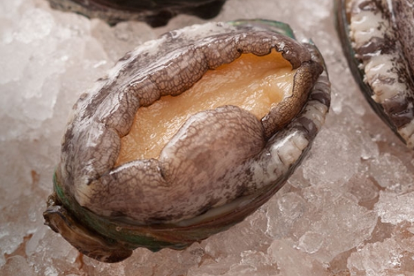 鲍鱼为什么分头,鲍鱼为什么按头分 鲍鱼为什么分头,鲍鱼为什么按头分