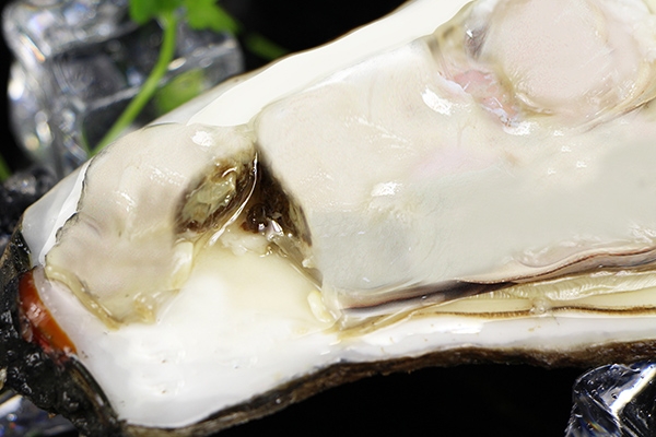 生蚝有沙子怎么办,生蚝有沙怎么处理 生蚝有沙子怎么办,生蚝有沙怎么处理