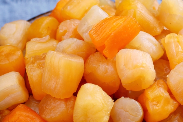 瑶柱是扇贝的哪个部位图解,瑶柱是扇贝的哪个部位