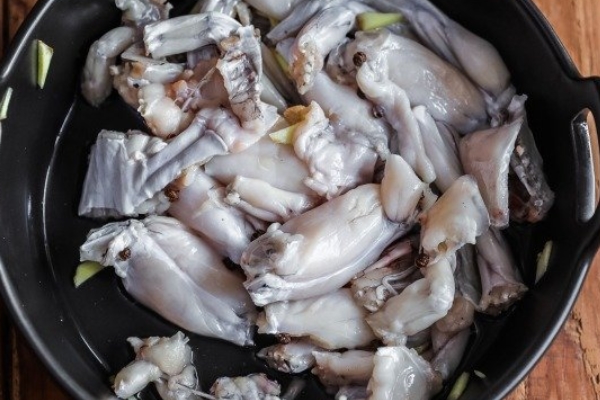 过敏可以吃蛙肉 吗,牛蛙会过敏吗