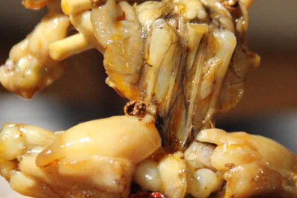 牛蛙怎么处理才干净,牛蛙怎么烧又嫩又好吃