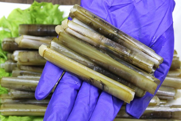 蛏子不能和什么一起吃吗,蛏子不能和什么一起吃最好