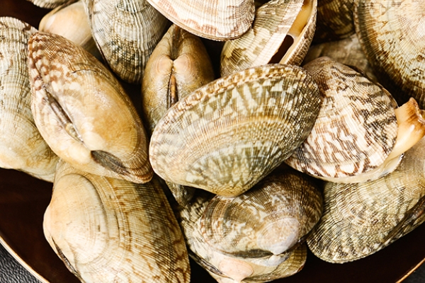 花甲可以放微波炉加热吗,花甲能用微波炉热吗