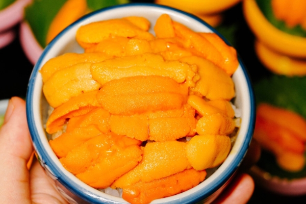 海胆为什么发苦,海胆为什么发苦能吃吗