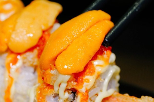 海胆会动吗,为什么海胆吃完了还动