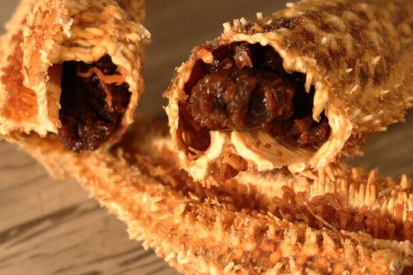 海星可以和鸡肉一起煲吗,海参炖鸡还可以放什么