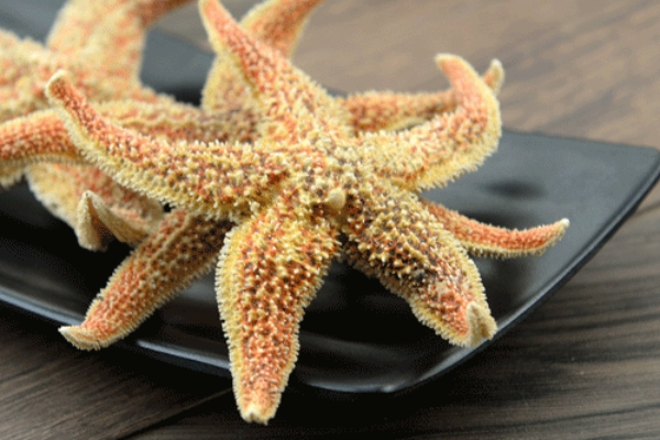 海星煲汤的做法,海星怎么煲汤好喝 海星煲汤的做法,海星怎么煲汤好喝