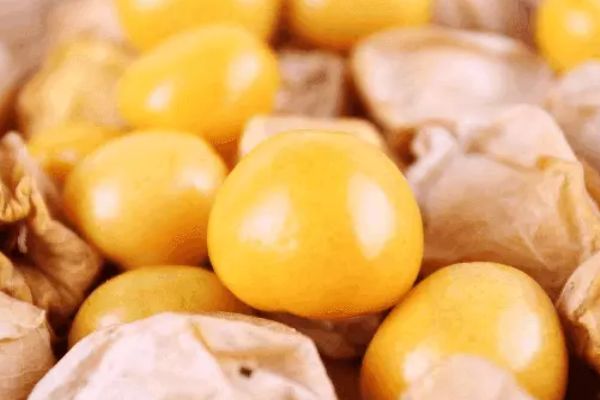 姑娘果泡酒的功效和作用,姑娘果可以泡酒吗 姑娘果泡酒的功效和作用,姑娘果可以泡酒吗