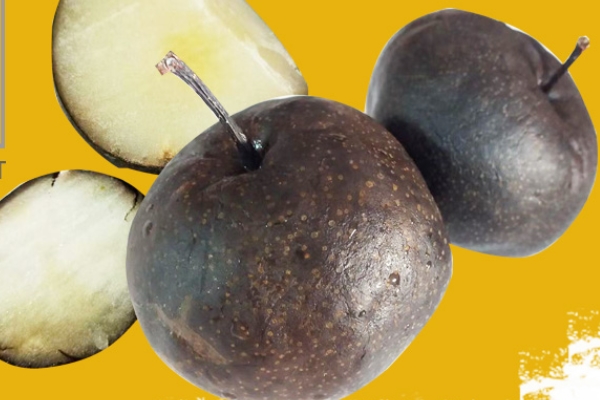 冻梨哪里有卖,东北冻梨好吃吗