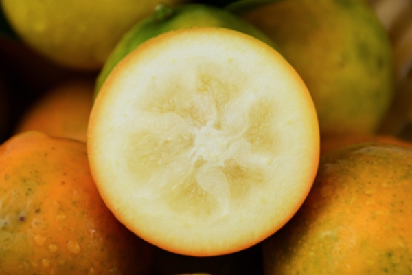 金桔能连皮吃吗,金桔吃法金桔可以连皮吃吗?