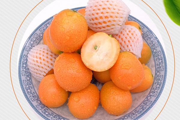 常吃桔子对身体有哪些好处,小金桔的妙用
