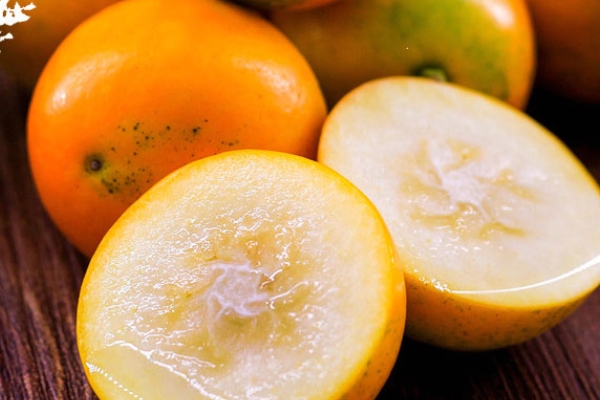 金桔可以和梨一起煮吗,金桔可以和苹果梨一起煮吗