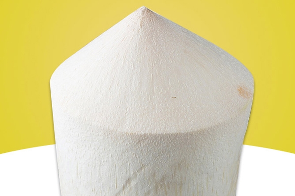 椰子是什么味道的,椰子是什么味道刚买回来的为什么酸酸的