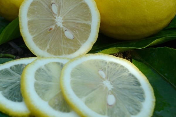 青柠檬和黄柠檬,柠檬的种类有哪些