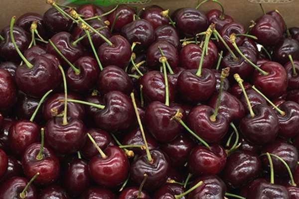 车厘子要用盐水泡吗?,车厘子要用盐水浸泡多久