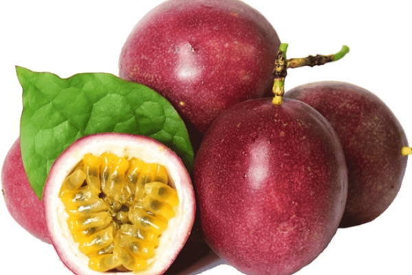 百香果怎么种植,百香果怎么种植在家怎样种百香果