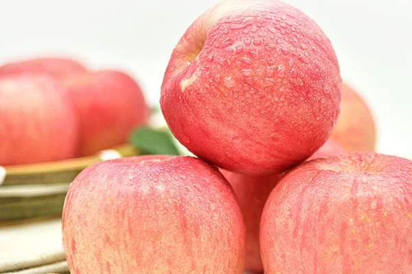 红富士是日本的吗,红富士是日本的品种吗