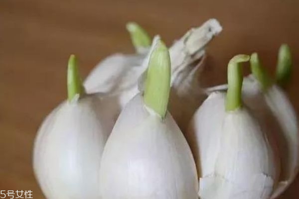 大蒜会坏吗,大蒜坏了什么样子